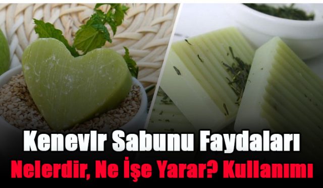 Propolis Damla Faydaları Nelerdir Fit ve Form