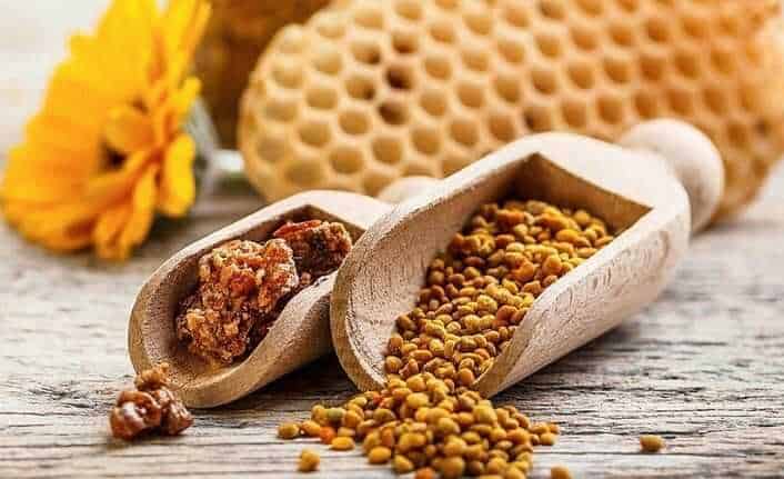 propolis nedir ne ise yarar