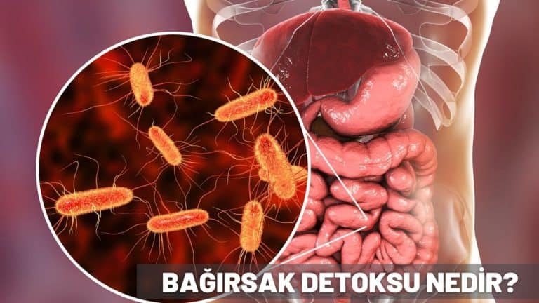 bağırsak detoksu nedir