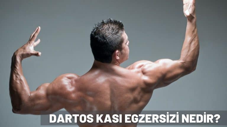 dartos kası egzersizi nedir