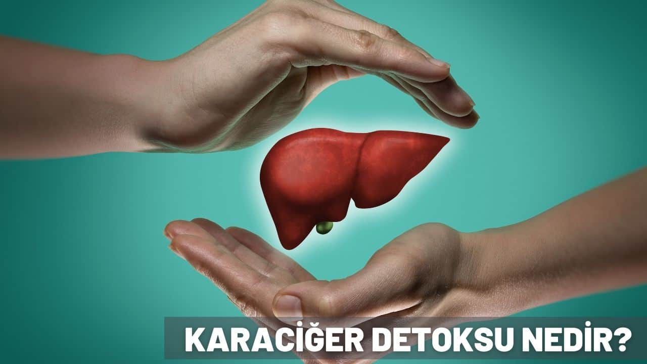 karaciğer detoksu nedir