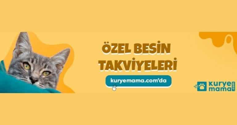 kuryemama