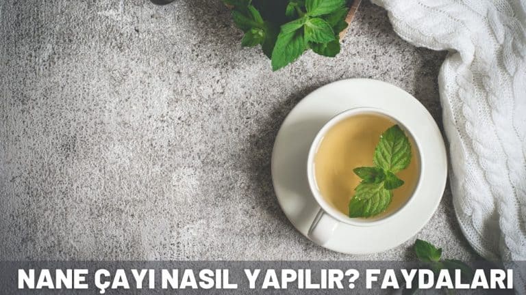 nane çayı faydaları