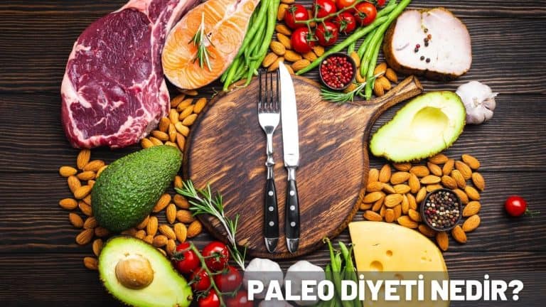 paleo diyeti nedir