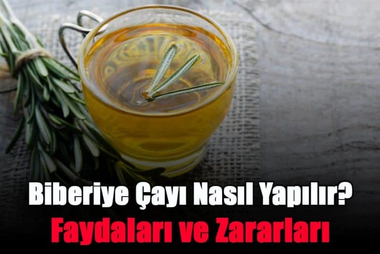 biberiye-cayi-nasil-yapilir-faydalari-ve-zararlari