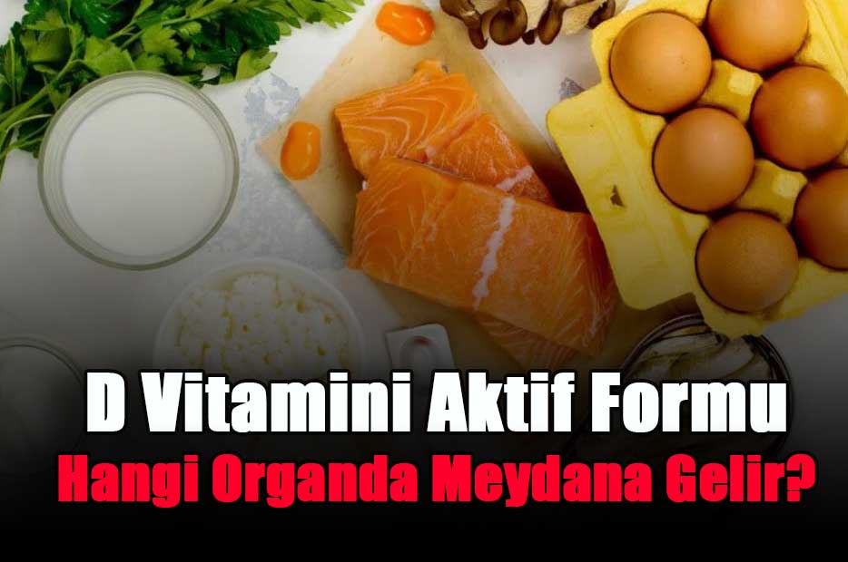 d-vitamini-aktif-formu-hangi-organda-meydana-gelir