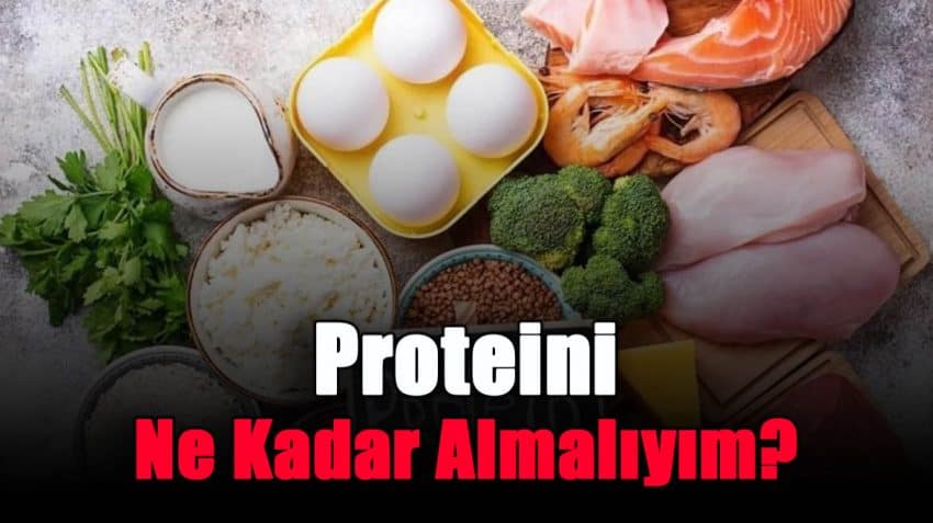 Ne Kadar Protein Almalıyım?