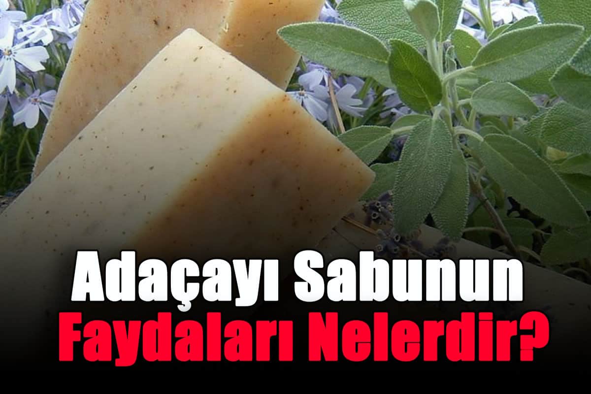 adacayi-sabunun-faydalari-nelerdir