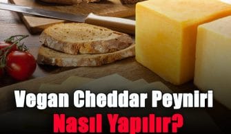vegan-cheddar-peyniri-nasil-yapilir