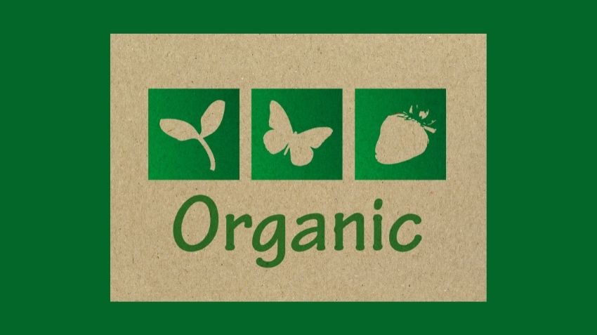 Organik Gıda Nedir?