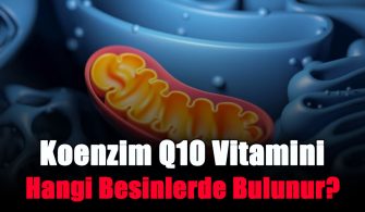 koenzim-q10-vitamini-hangi-besinlerde-bulunur