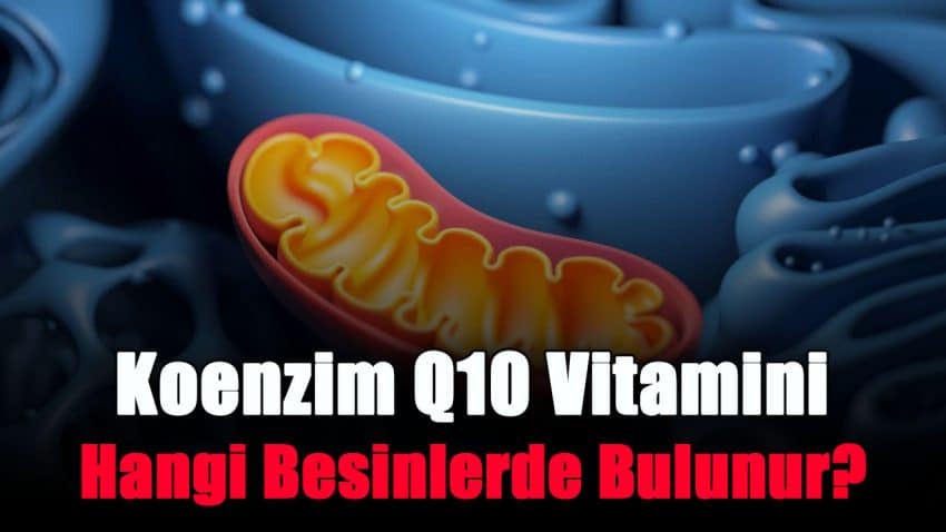 Koenzim Q10 Vitamini Hangi Besinlerde Bulunur?
