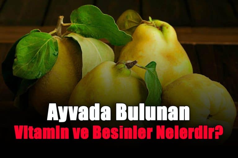 ayvada-bulunan-vitamin-ve-besinler-nelerdir