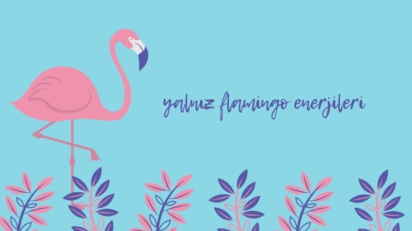 flamingo-duvar-kagidi