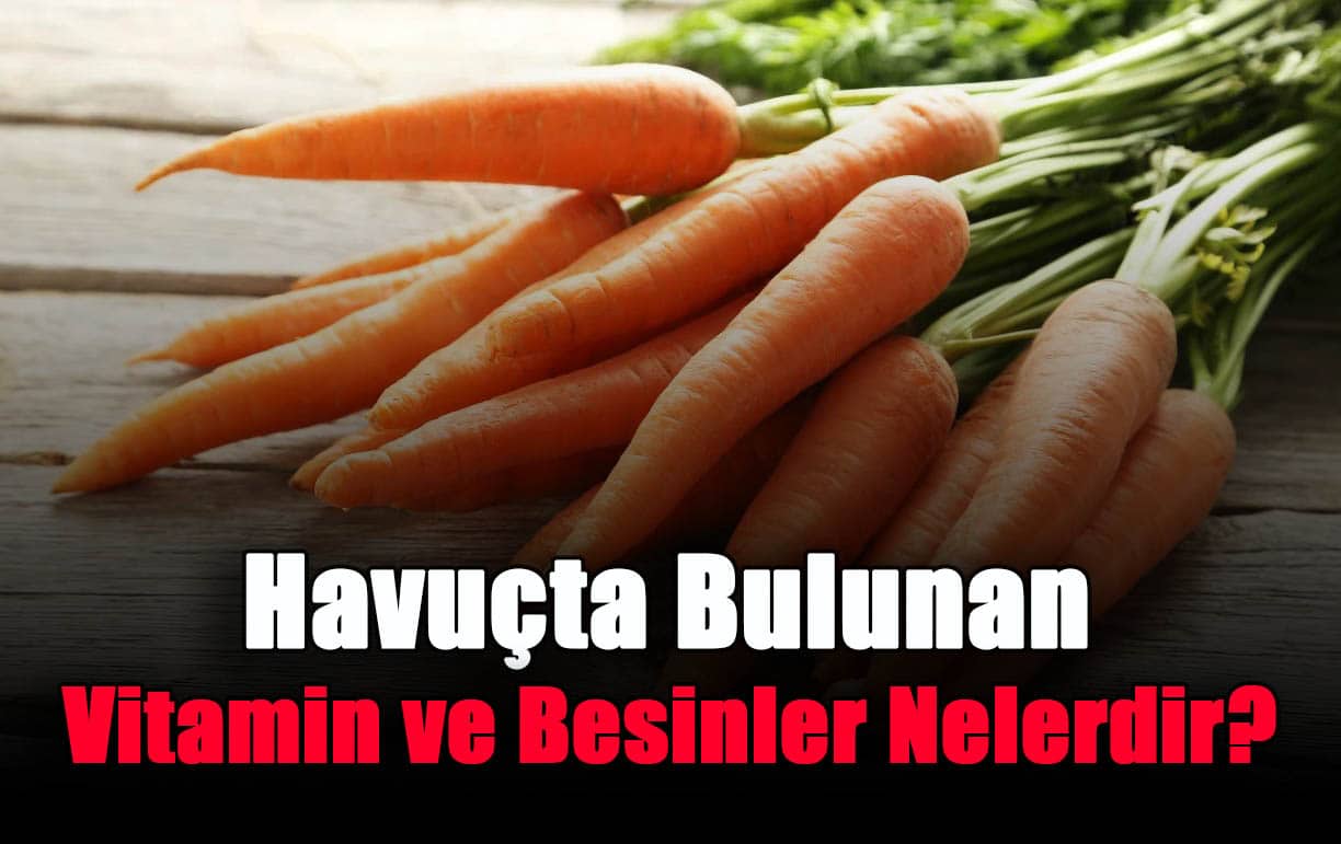 havucta-bulunan-vitamin-ve-besinler-nelerdir