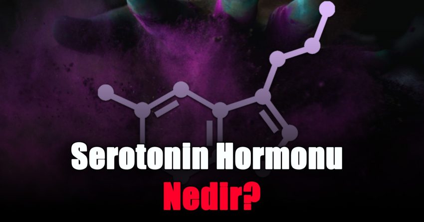 Serotonin Hormonu Nedir?