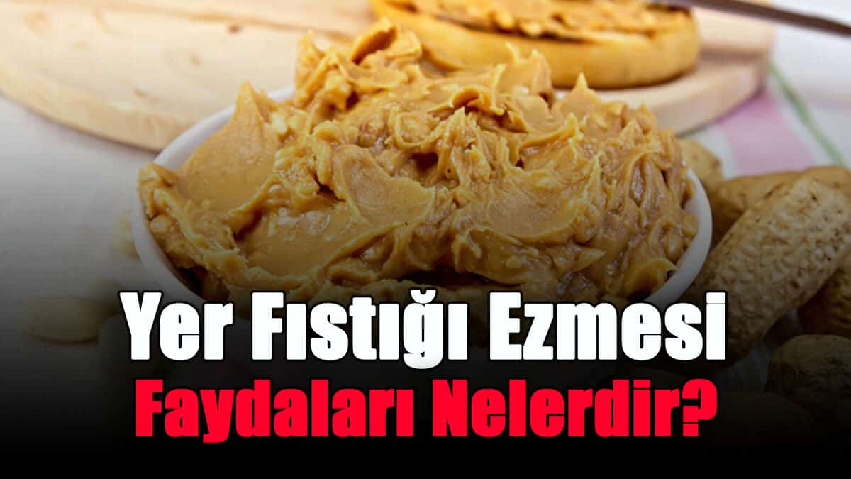 yer-fistigi-ezmesi-faydalari-nelerdir