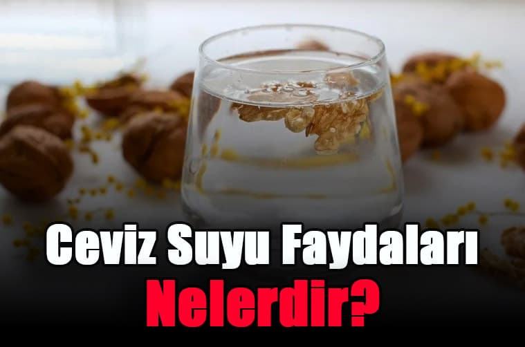 ceviz-suyu-faydalari-nelerdir