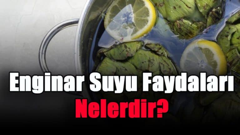 enginar-suyu-faydalari-nelerdir