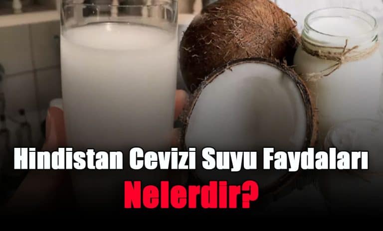 hindistan-cevizi-suyu-faydalari-nelerdir