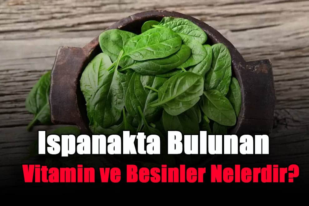 ispanakta-bulunan-vitamin-ve-besinler-nelerdir