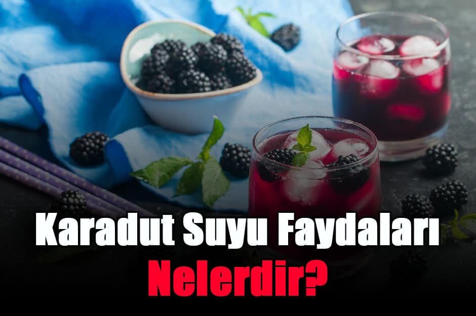 karadut-suyu-faydalari-nelerdir