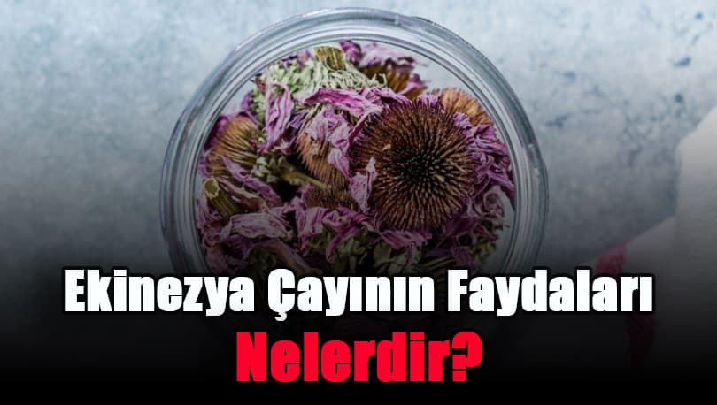 ekinezya-cayinin-faydalari-nelerdir