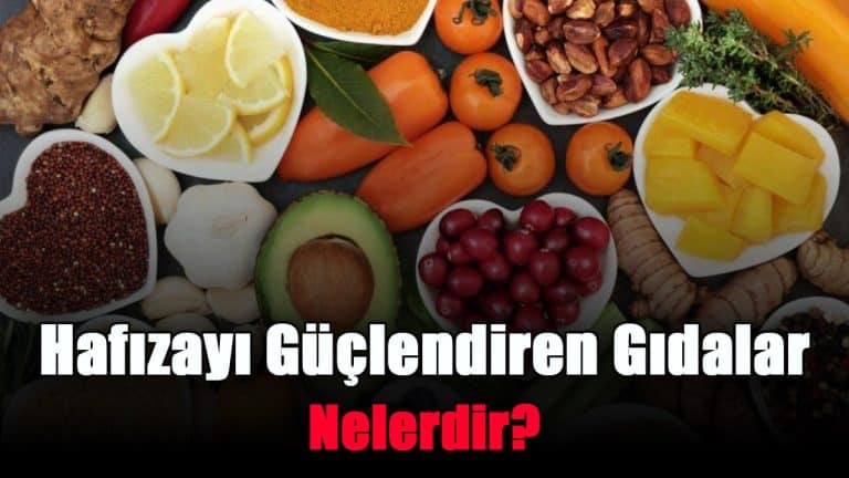 hafizayi-guclendiren-gidalar-nelerdir