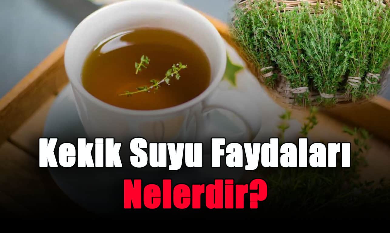 kekik-suyu-faydalari-nelerdir