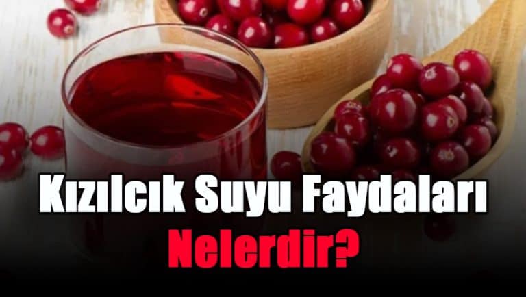 kizilcik-suyu-faydalari-nelerdir