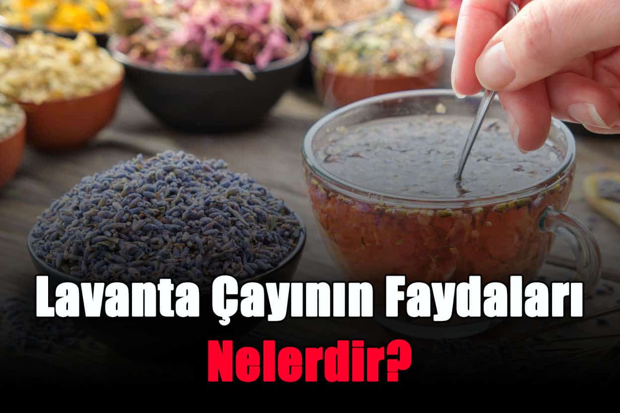 lavanta-cayinin-faydalari-nelerdir