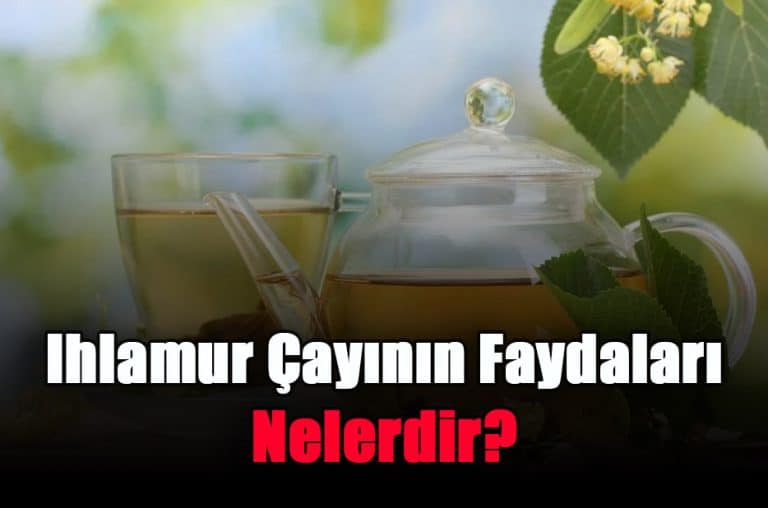 ihlamur-cayinin-faydalari-nelerdir