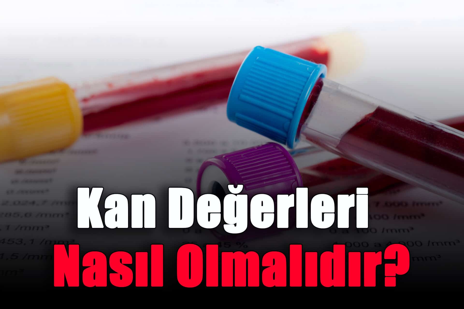 kan-degerleri-nasil-olmalidir