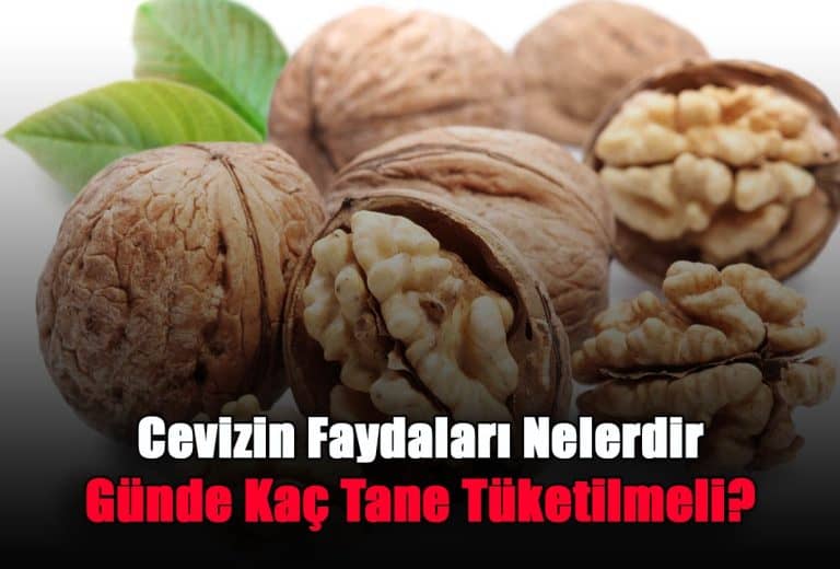 cevizin-faydalari-nelerdir-gunde-kac-tane-tuketilmeli