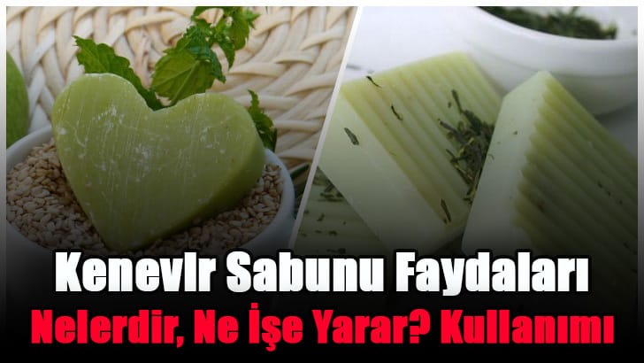 kenevir-sabunu-faydalari-nelerdir-ne-ise-yarar-kullanimi