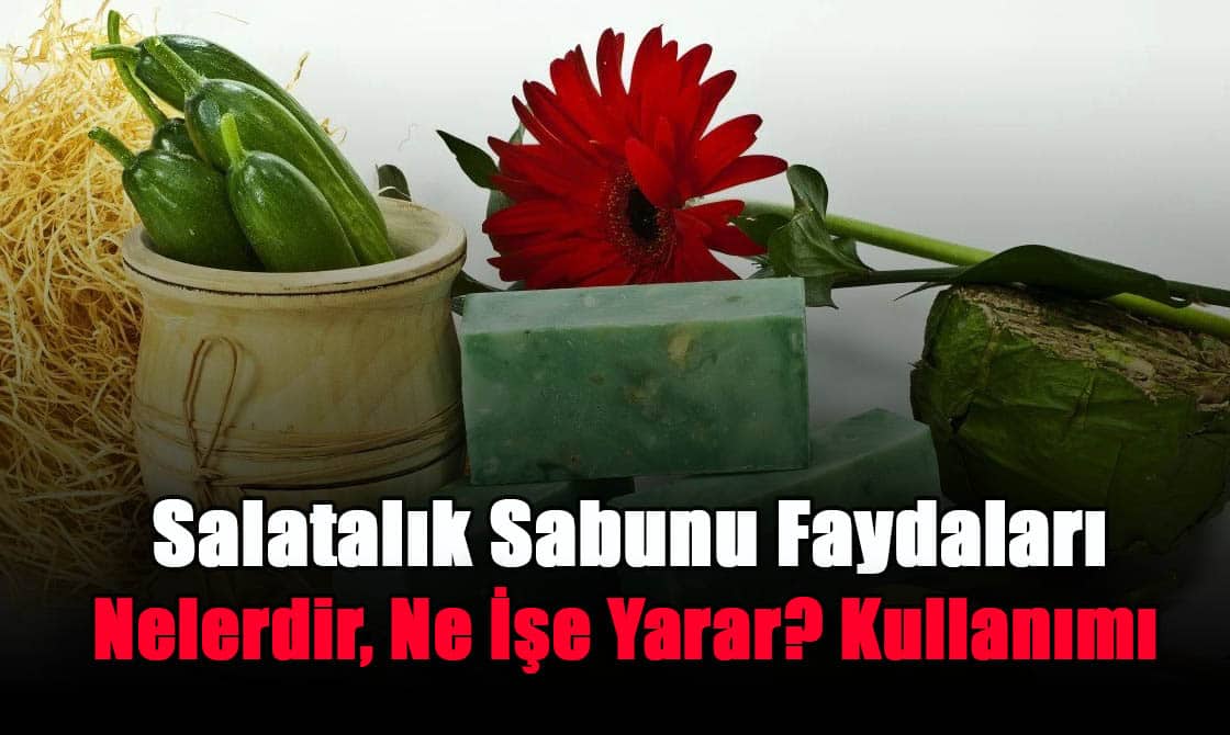 salatalik-sabunu-faydalari-nelerdir-ne-ise-yarar-kullanimi