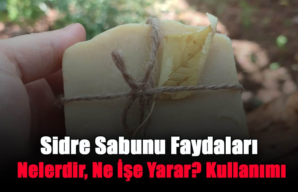 sidre-sabunu-faydalari-nelerdir-ne-ise-yarar-kullanimi