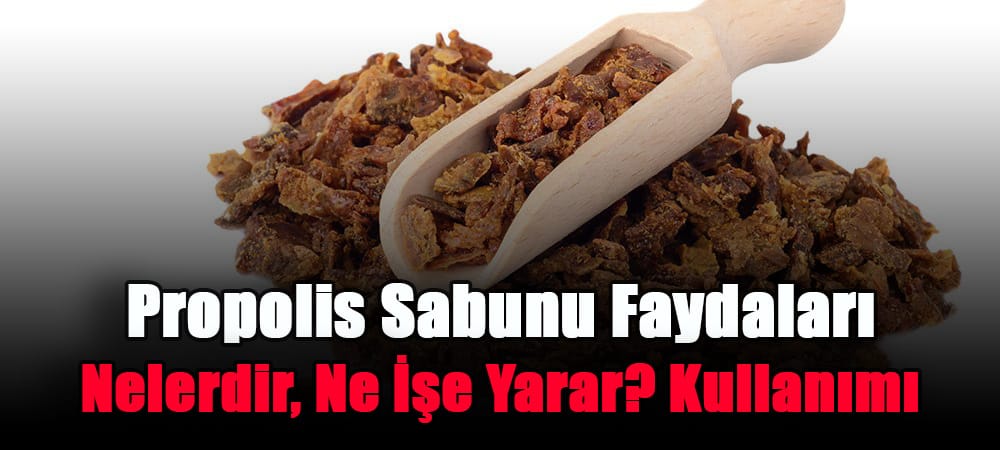 propolis sabunu faydaları nelerdir, ne i̇şe yarar? kullanımı