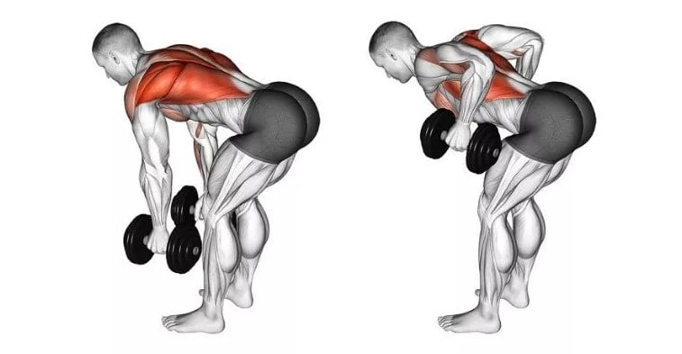 bent over row hareketi nasıl yapılır