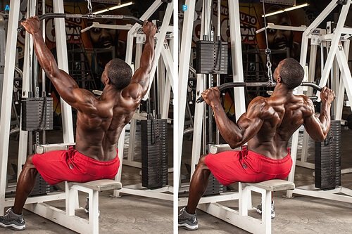 lat pulldown hangi kasları çalıştırır