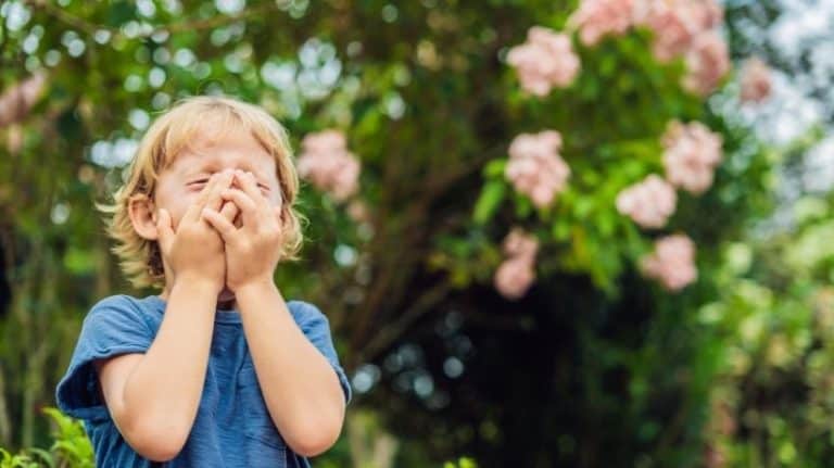mevsimsel alerjiler ve klinik mikrobiyolojinin tanıdaki gücü