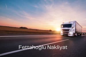 Taşınma Sürecinde Sağlık ve Stres Yönetimi